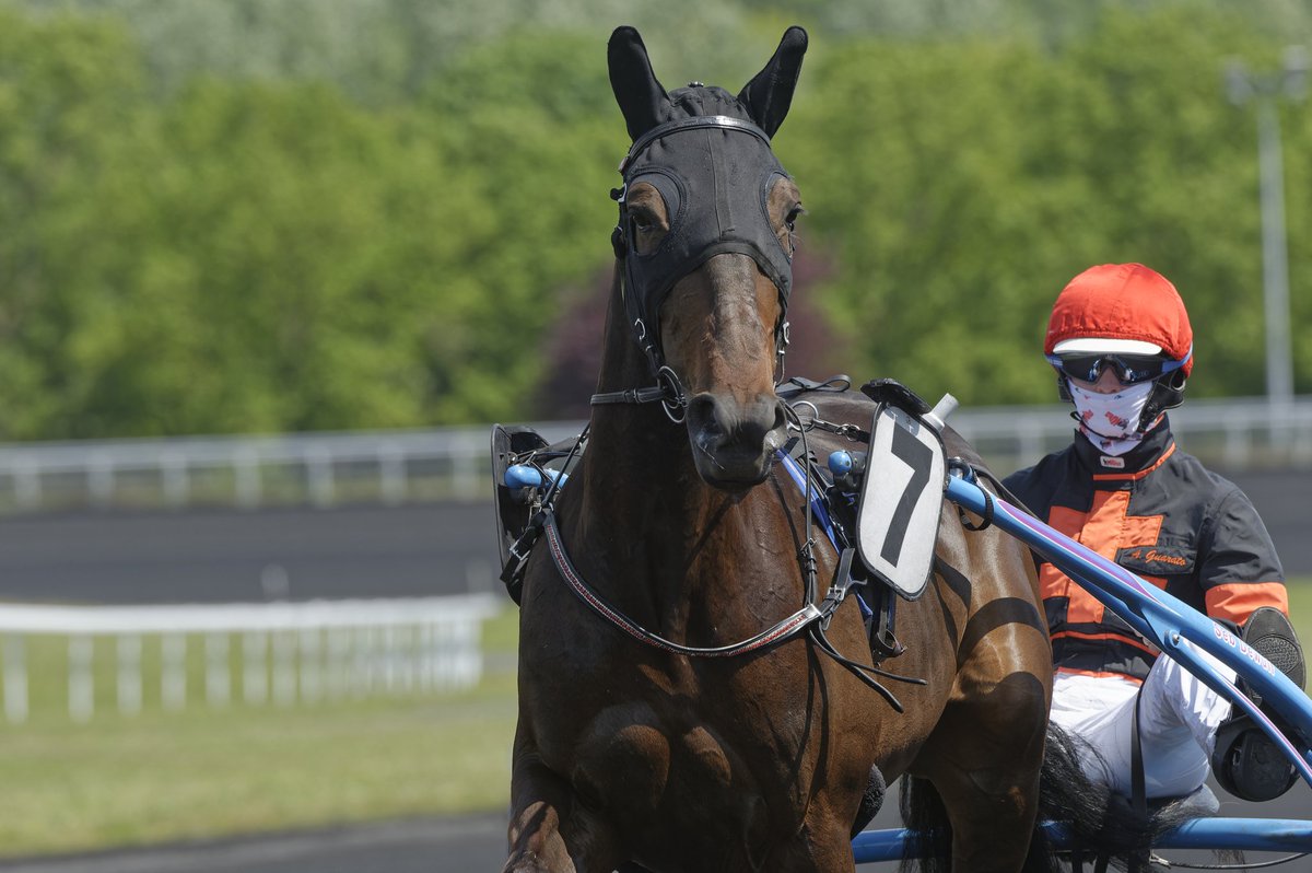 Trotteurs tweet media