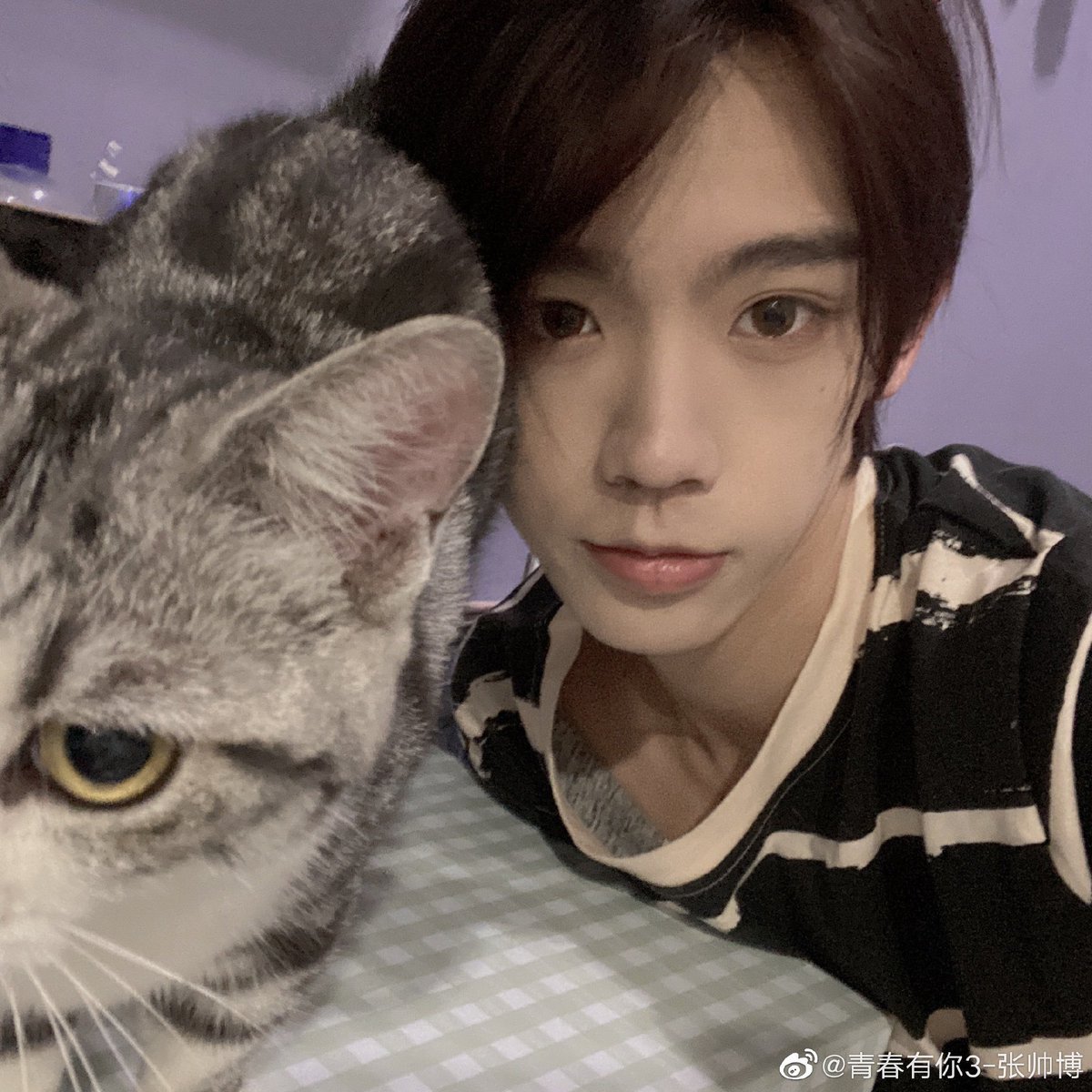 his favorite animal is cat! he owns a cat and he named his cat 石榴 (shi liu)