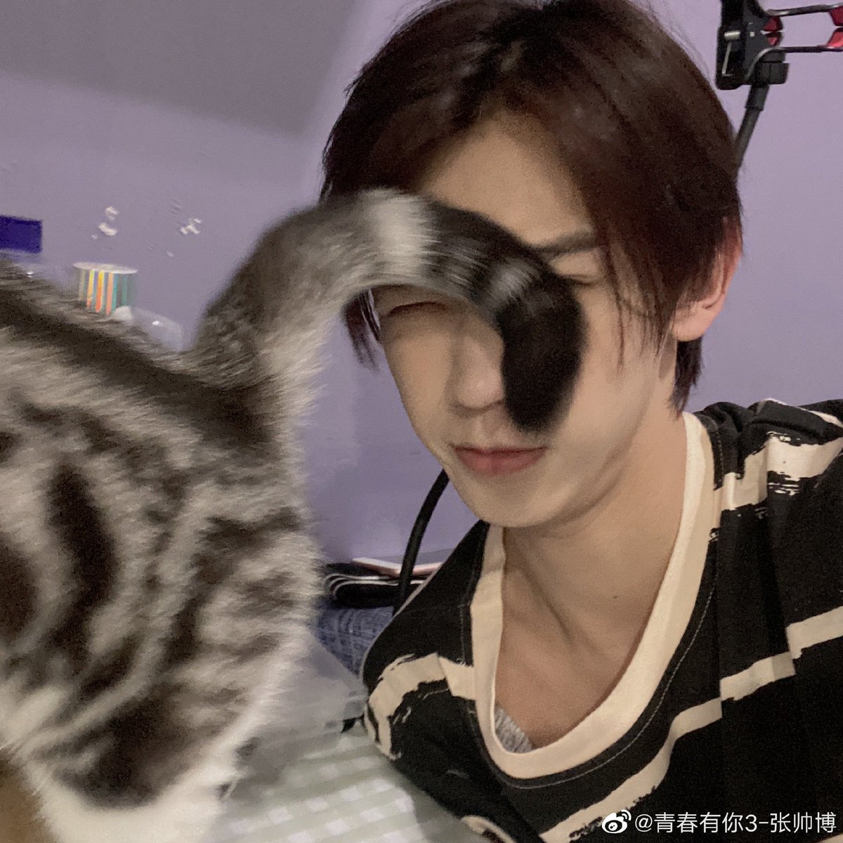 his favorite animal is cat! he owns a cat and he named his cat 石榴 (shi liu)