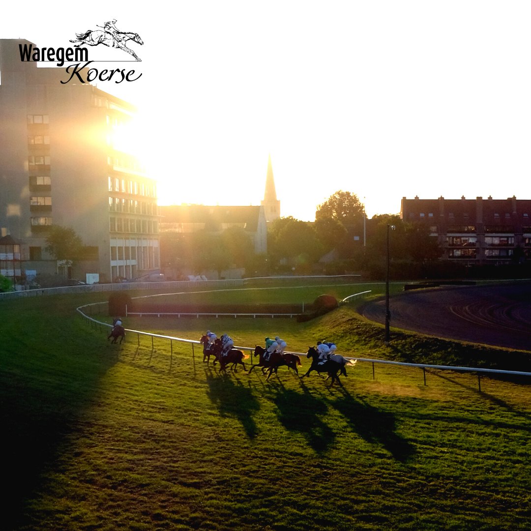 waregem_koerse's tweet photo. Het leven komt stilaan weer in galop. ๐
Ook Waregem Koerse komt eraan. Save the date: 31/08/2021.
Fingers crossed. ๐ค๐ค๐ค
#waregemkoerse #waregem #hippodroomwaregem #stadwaregem #waregemkoerse2021 #waregemsport #kinderstad https://t.co/LDM5UEsyQU