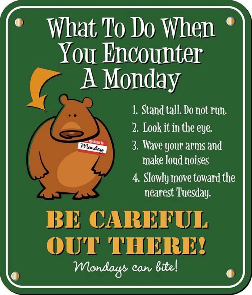 _ArriveAlive's tweet photo. Smile for the Day #MondayMotivation https://t.co/EdRwXox09F