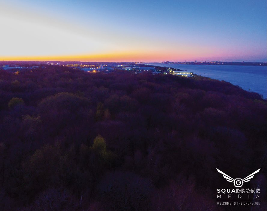 Squadrone Media tweet media