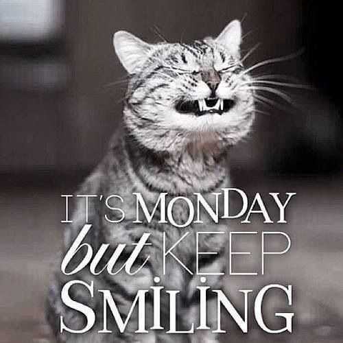 anoneagle15's tweet photo. Wake up, feel the sun shine and don't forget to smile!

Happy Monday! https://t.co/DtHrOhRyRn