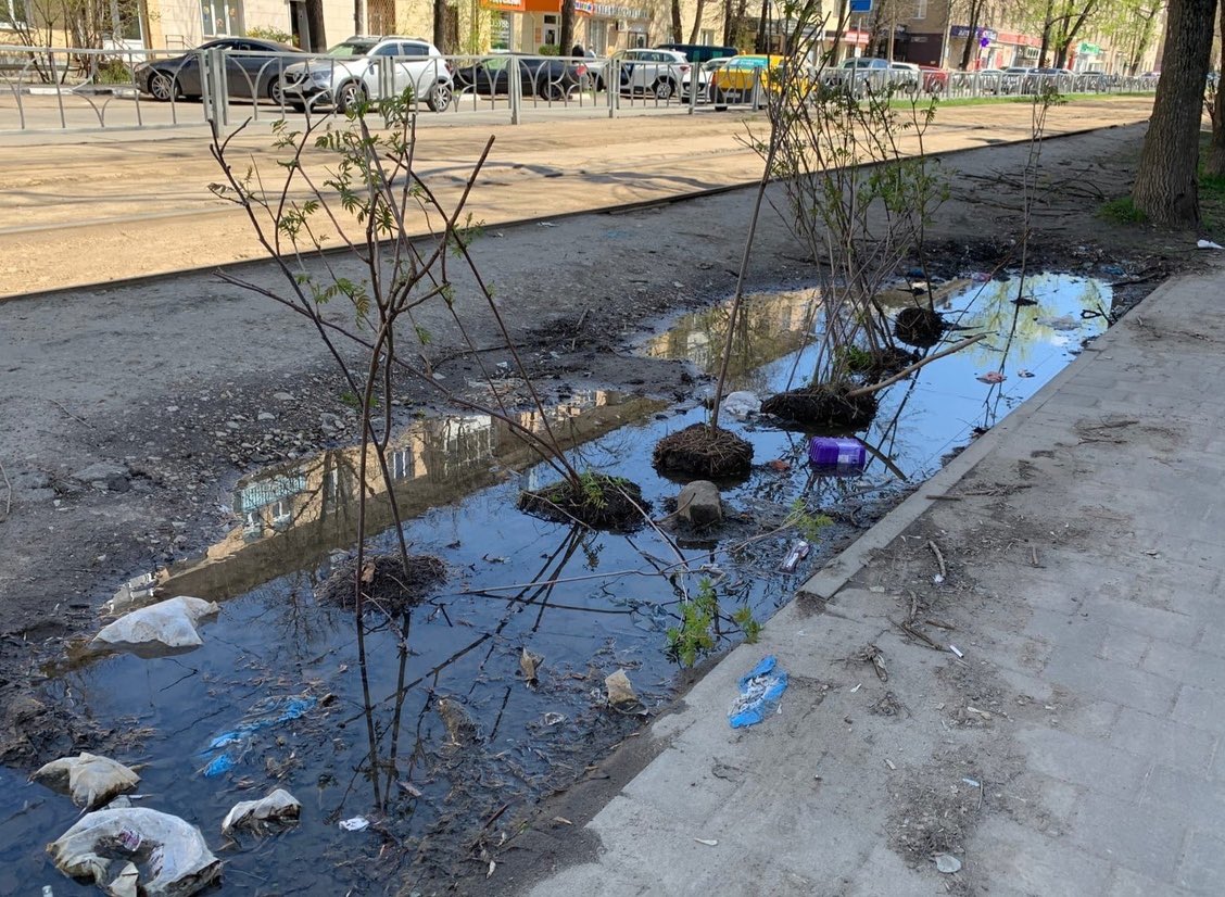 #благоустройство71 #Тула 
Озеленение по-тульски.
<a href="/Tularegion71/">Правительство ТО</a> на ул.Болдина напротив дома №124 исполнители работ по озеленению города бросили саженцы в лужу. Валяются уже неделю. В пошлом году было также, и растения погибли. Эти тоже вряд ли выживут.