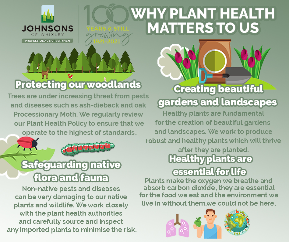 This week is #PlantHealthWeek, and here's why plant health matters to us ⬇️🌲🌍🪴

#Plants #PlantHealthy #PlantHealth #Trees #environnement
