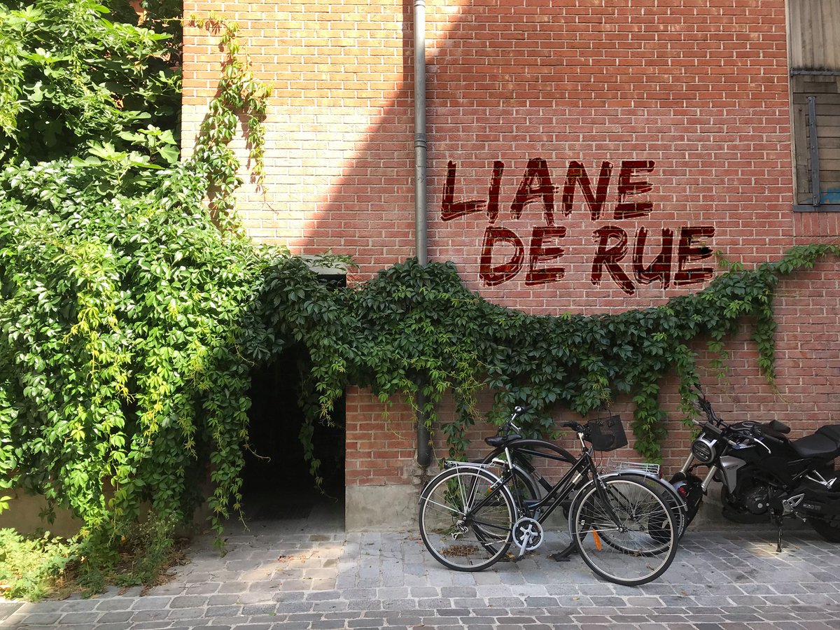 [#MondayMotivation] Venez partager avec nous un temps fort de l'actualité d'un Acteur ou Actrice du Paris durable 😃

Demain, rencontrez E. Bourgouin de <a href="/LianeDeRue/">Liane de Rue</a> 🌱 
Son objectif ? Transmettre son énergie verte au + grand nombre 🌷 🌿

acteursduparisdurable.fr/fr/evenements/… #vegetalisation