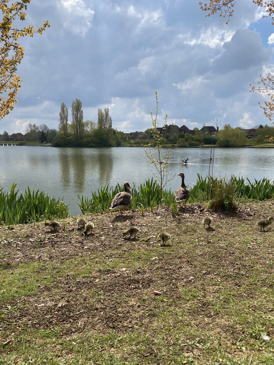 MK Charities (@mkcharities) on Twitter photo This week is #MentalHealthAwarenessWeek and the theme is #nature 🍃
This week our founders are starting the week by walking around #furztonlake owned by a charity who protects our beautiful green spaces <a href="/TheParksTrust/">The Parks Trust</a> ❤️ This week is #MentalHealthAwarenessWeek and the theme is #nature 🍃
This week our founders are starting the week by walking around #furztonlake owned by a charity who protects our beautiful green spaces <a href="/TheParksTrust/">The Parks Trust</a> ❤️