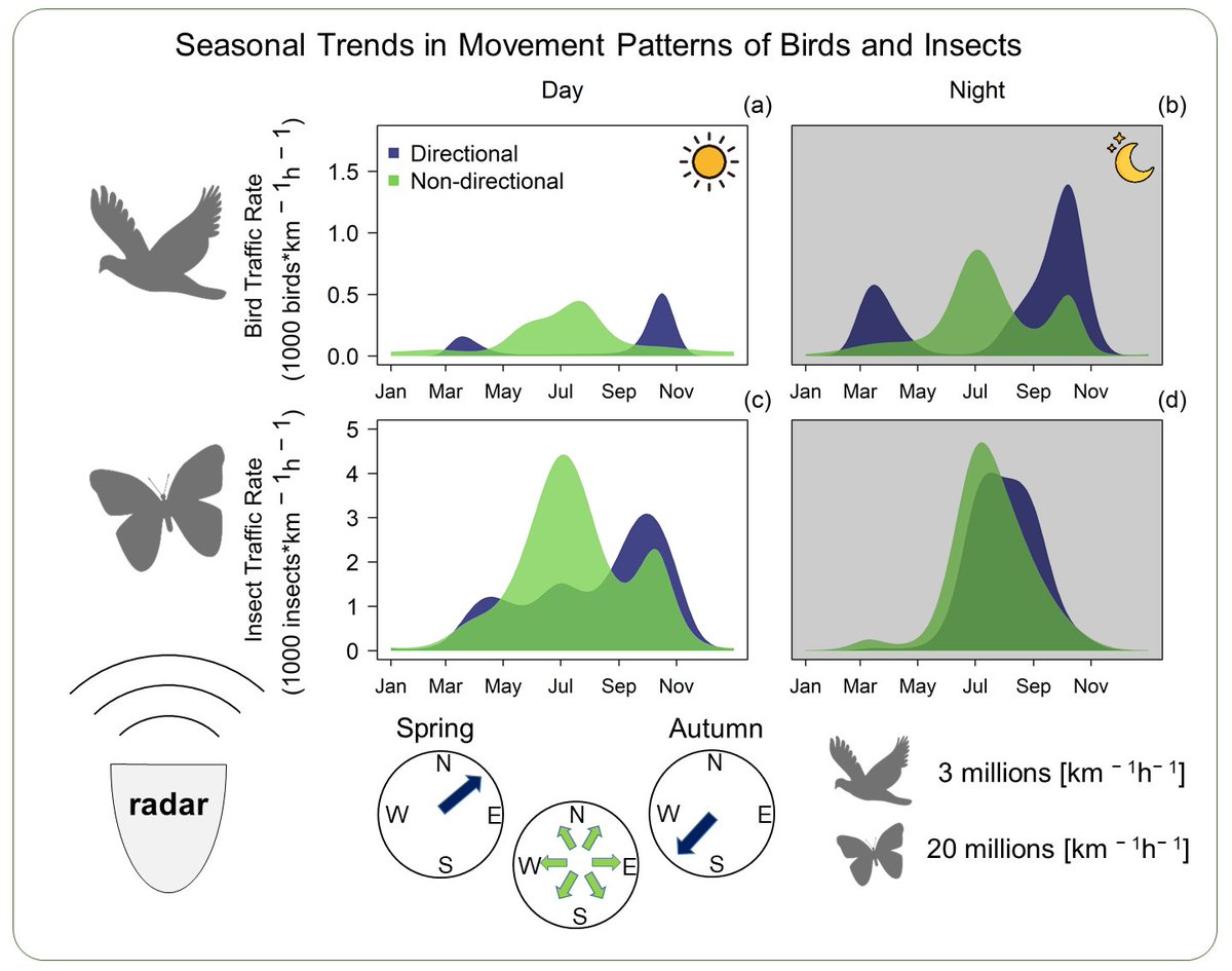Felix Liechti (@felixliechti) on Twitter photo Happy to present new paper on year-round #bird and #insects #Migration <a href="/Vogelwarte_scie/">Vogelwarte_Science</a> #swissbirdradar mdpi.com/2072-4292/13/9… Happy to present new paper on year-round #bird and #insects #Migration <a href="/Vogelwarte_scie/">Vogelwarte_Science</a> #swissbirdradar mdpi.com/2072-4292/13/9…