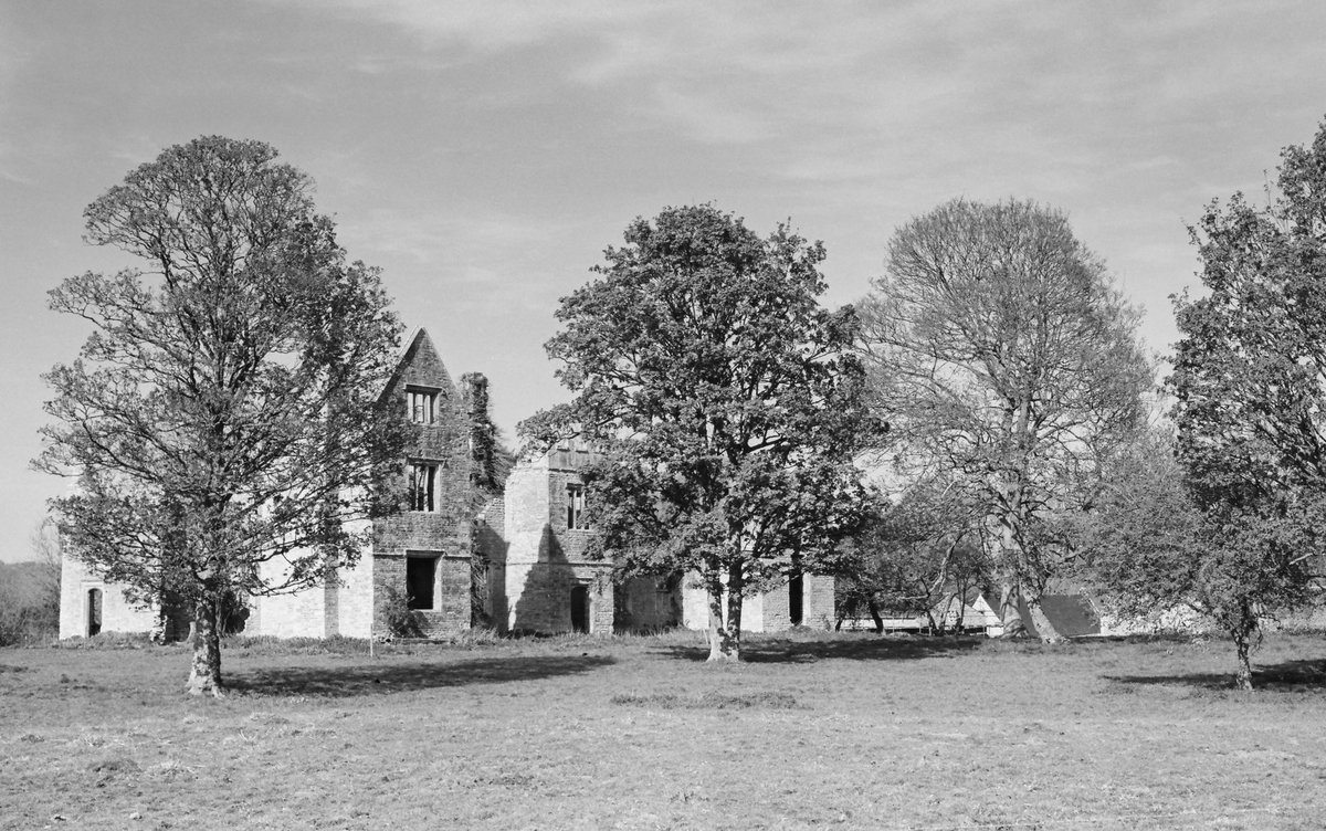 Flashofdark's tweet image. I love the fine pencil sketch tone you sometimes get with film.  Shot with a Leica M6, Summarit f2.4 35mm and Kodak TMax 100.  #filmphotography #leicaM6 #blackandwhitephotography #Oxfordshire