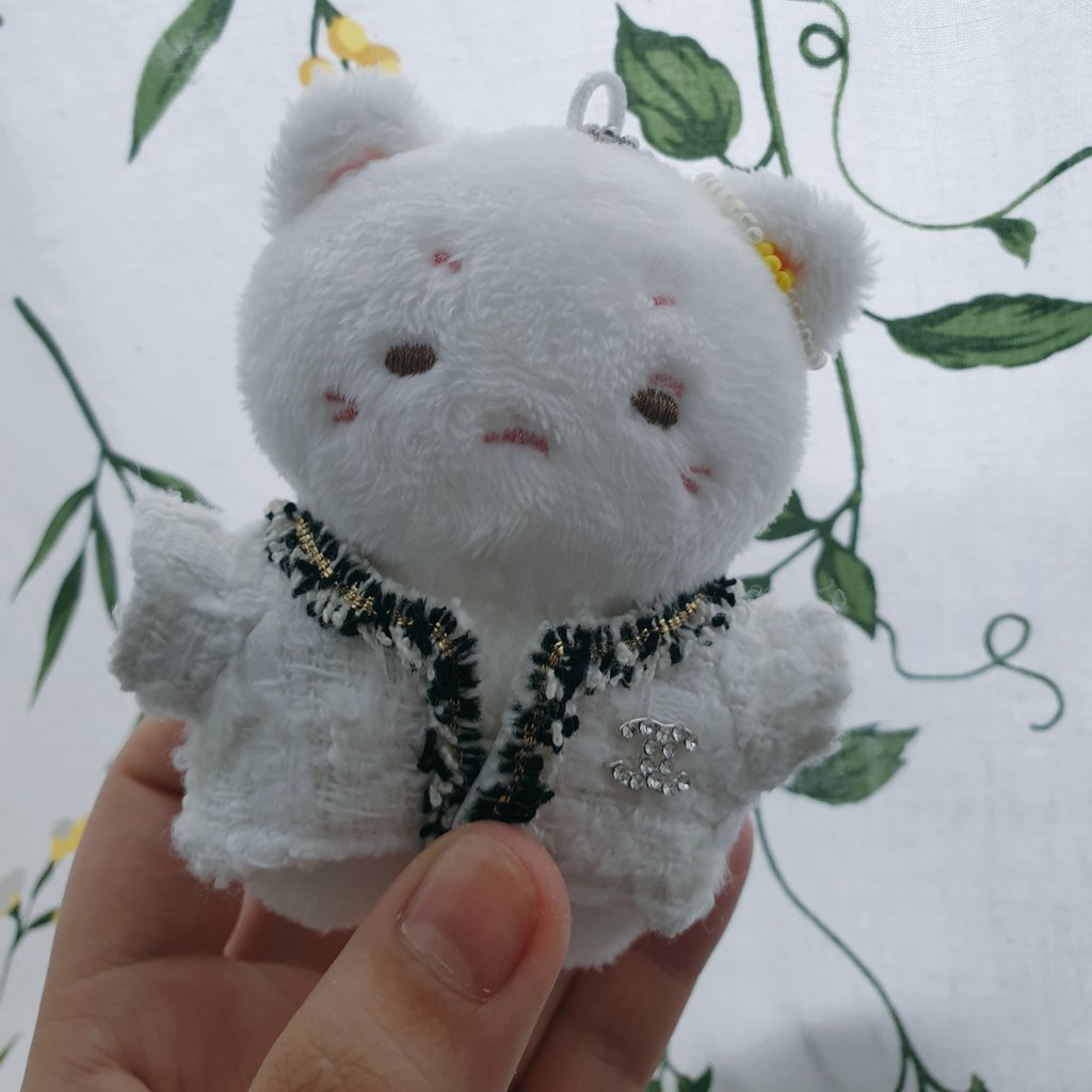 슈호🐈‍⬛🐈 tweet media