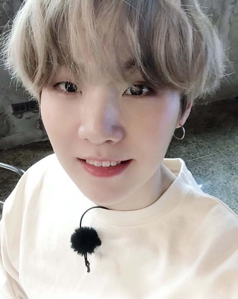 슈호🐈‍⬛🐈 tweet media