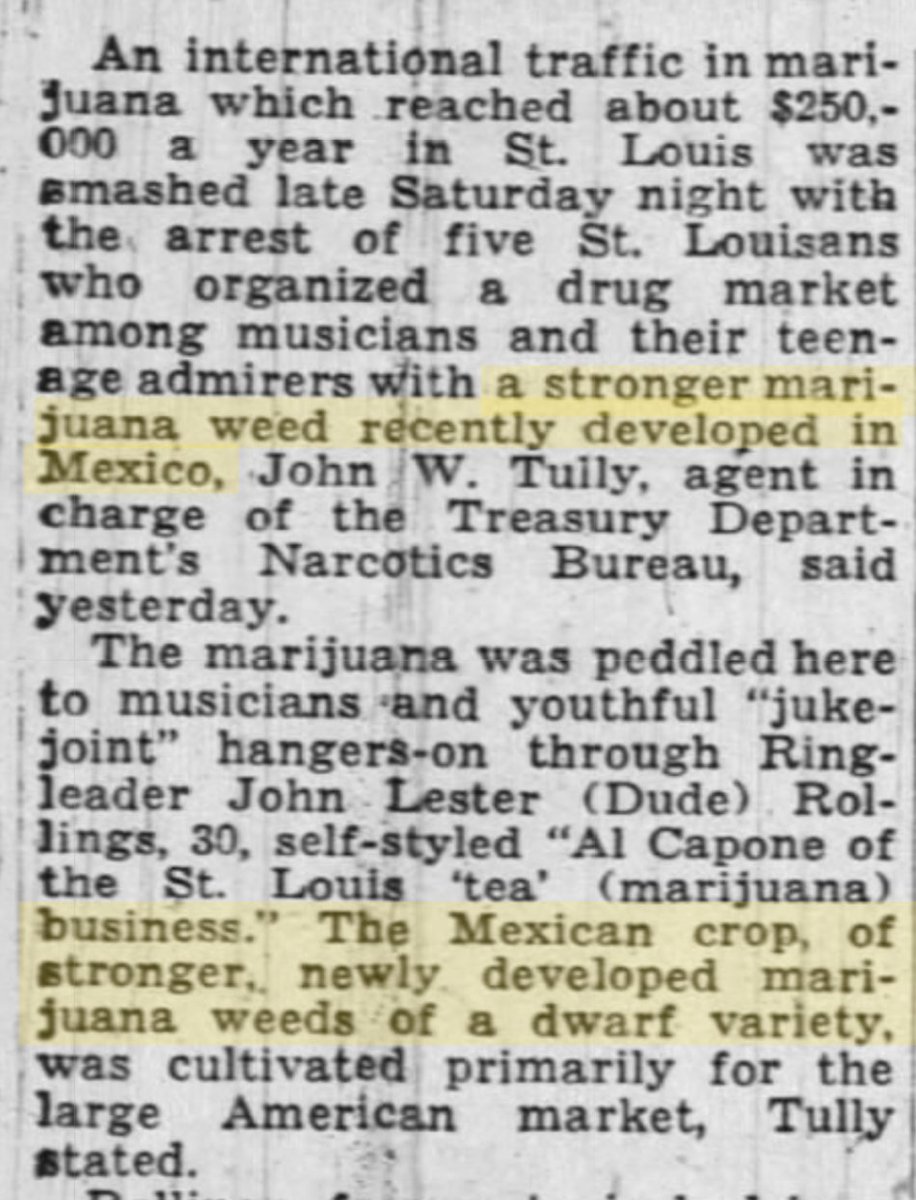 12. I guess the cannabis in the 1950s must have been pretty weak? Well here's an article from 1947 warning about the "stronger marijuana weed recently developed in Mexico." https://www.newspapers.com/clip/77415487/st-louis-globe-democrat/