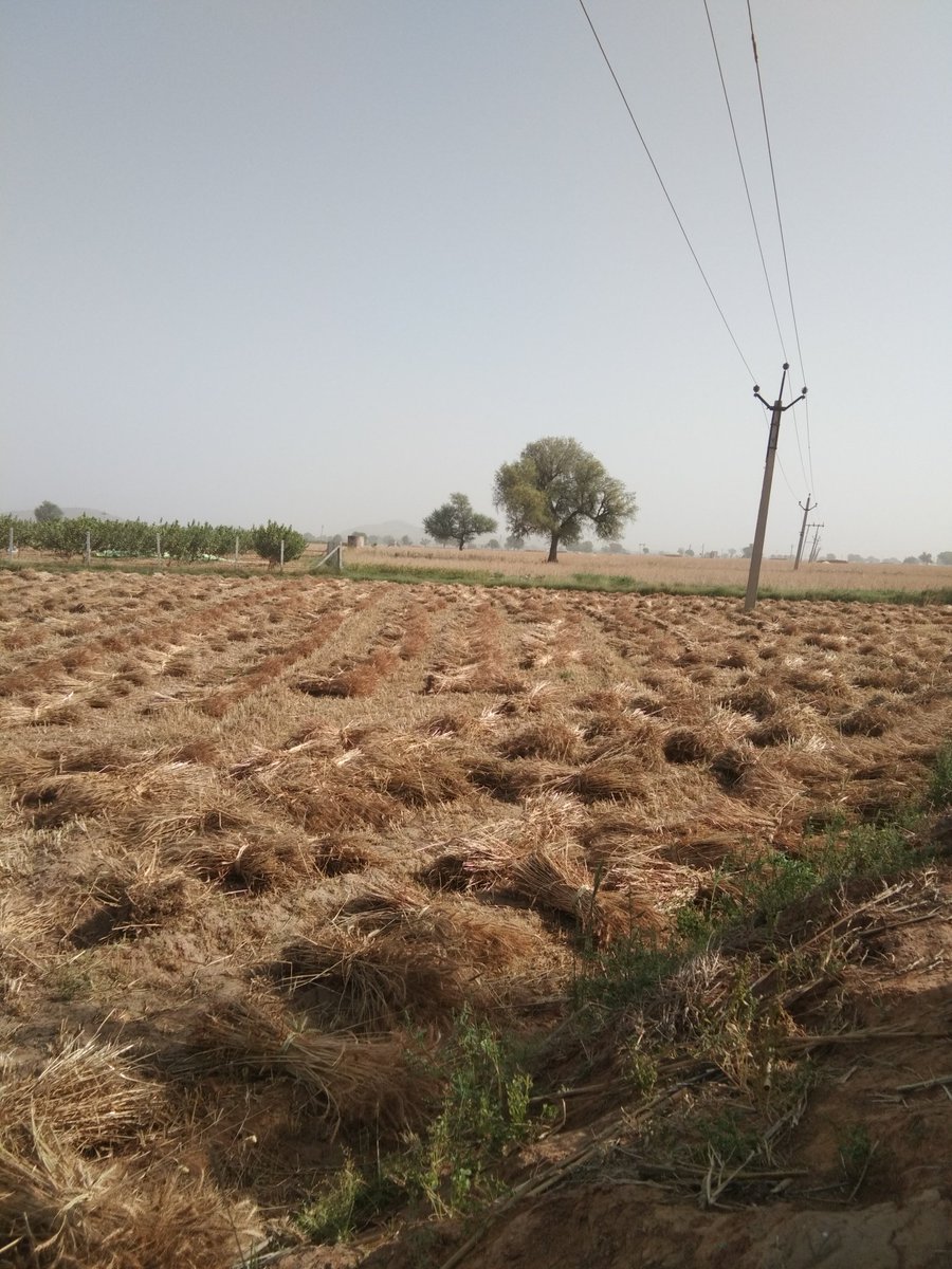 RohitMe49596486's tweet photo. We support Farmers. Fighting for our future. #मैं_भी_किसान
#मैं_भी_किसान https://t.co/E1sr5teKWj