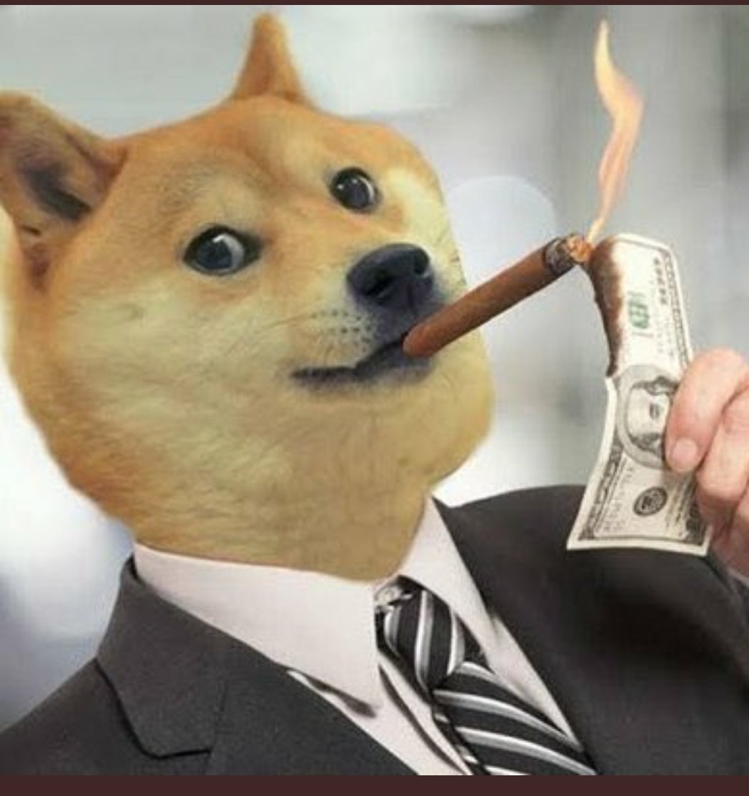 DogeIndian's tweet photo. Look at me I'm crypto https://t.co/XOFOPlcyT4