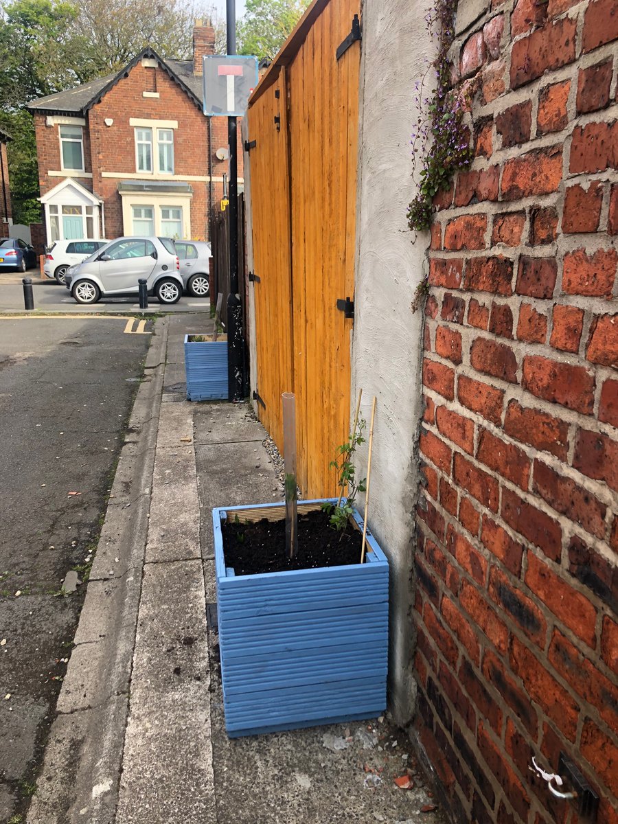 bookbeacon's tweet photo. Yesterday we painted planters on our street! They have native trees (hazel, rowan, crabapple)  in it donated to us by @WoodlandTrust. Thanks! @LowHeatonCA #community #gardening #MakeADifference https://t.co/FPSriGjvXM