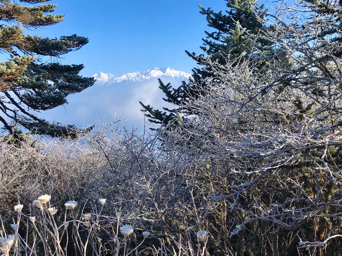 PaliGhar's tweet photo. This post is in reaching out with our thoughts and prayers for this suffering to come to an end.
Be safe,take care of each other and follow COVID-19 protocols. Stay home,travel later.
#COVID19 https://t.co/E0jWmLyor2