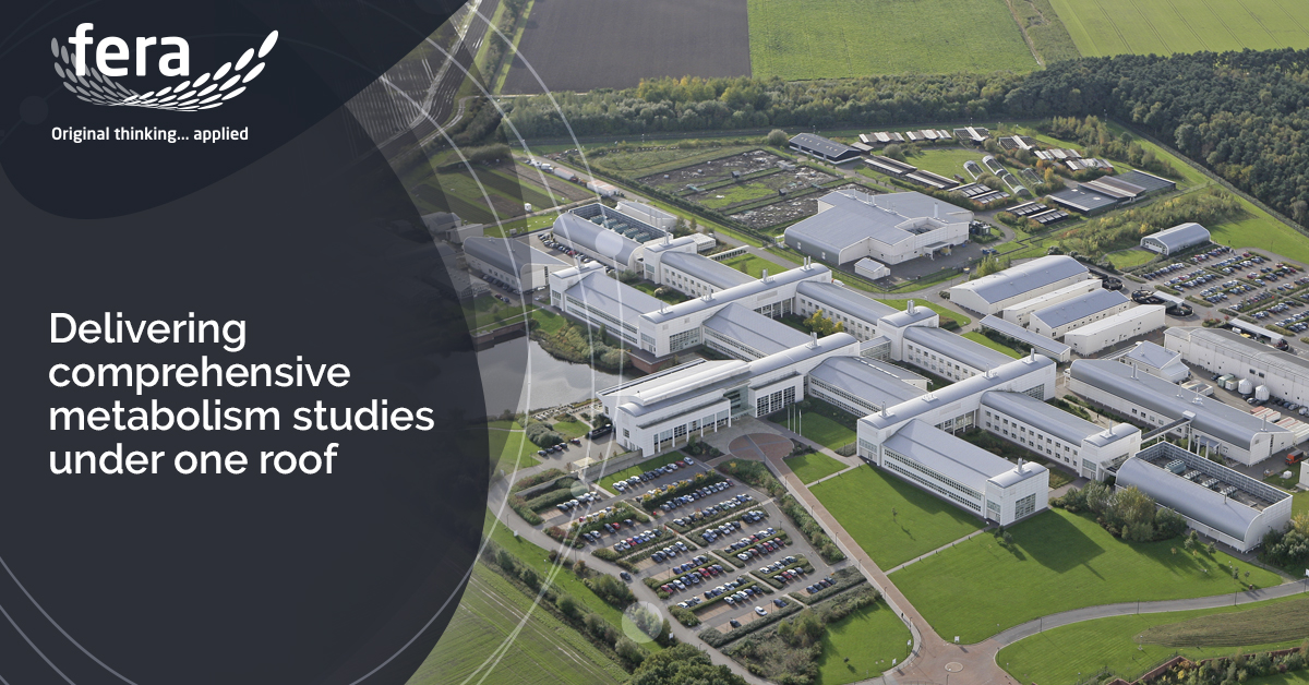 FeraScience's tweet image. We estimate we have grown over 2M plants over the last 20 years in support of science. The plants can be native species, agricultural or horticultural or can be from anywhere in the world.

Factsheets ow.ly/SkKz50EBBHj

#plantmetabolism #ferascience #Chemicalregulation