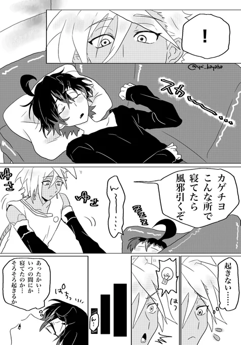 お昼寝シディカゲ 