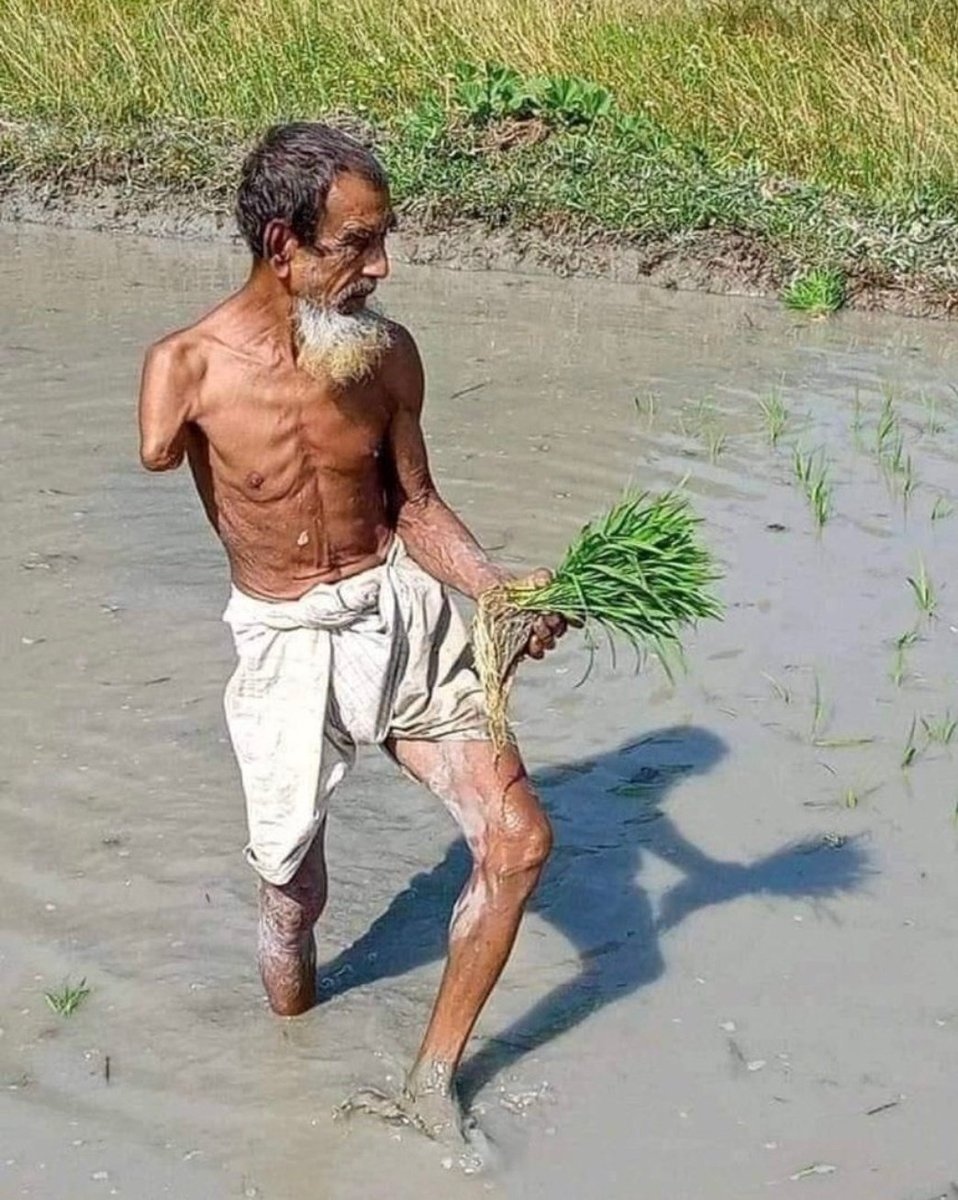 Mukesh_RES's tweet photo. I belongs to a farmer's family . So I fully support our country's Farmers.
#मैं_भी_किसान https://t.co/y4z1HxkFxC