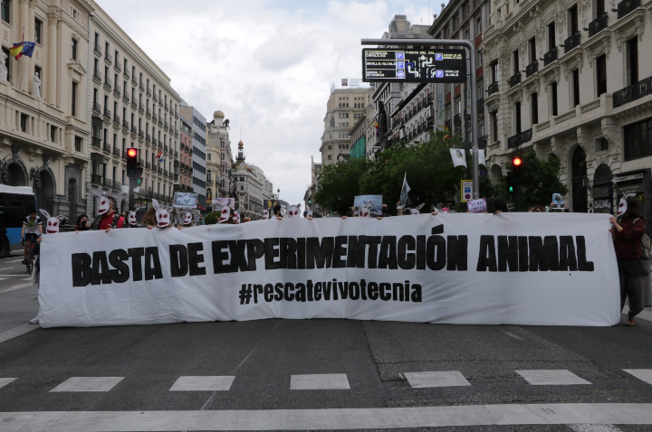 Domingo 9M activistas cortan la Calle Alcalá a la altura de Gran Vía (Madrid). Aprovechando el semáforo desplegaron una pancarta de 8 metros y permanecieron allí hasta que negociaron con la policía trasladar la protesta frente a la Consejeria de Medio Ambiente. #RescateVivotecnia