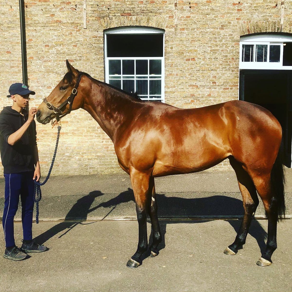 H_Eustace's tweet photo. First runner for Chief Singer Racing @LingfieldPark today with Full Of Beans. Shareholder and sponsor @cortadonewmarket providing the smart kit. #cautionhot https://t.co/XtfQ79PEVn
