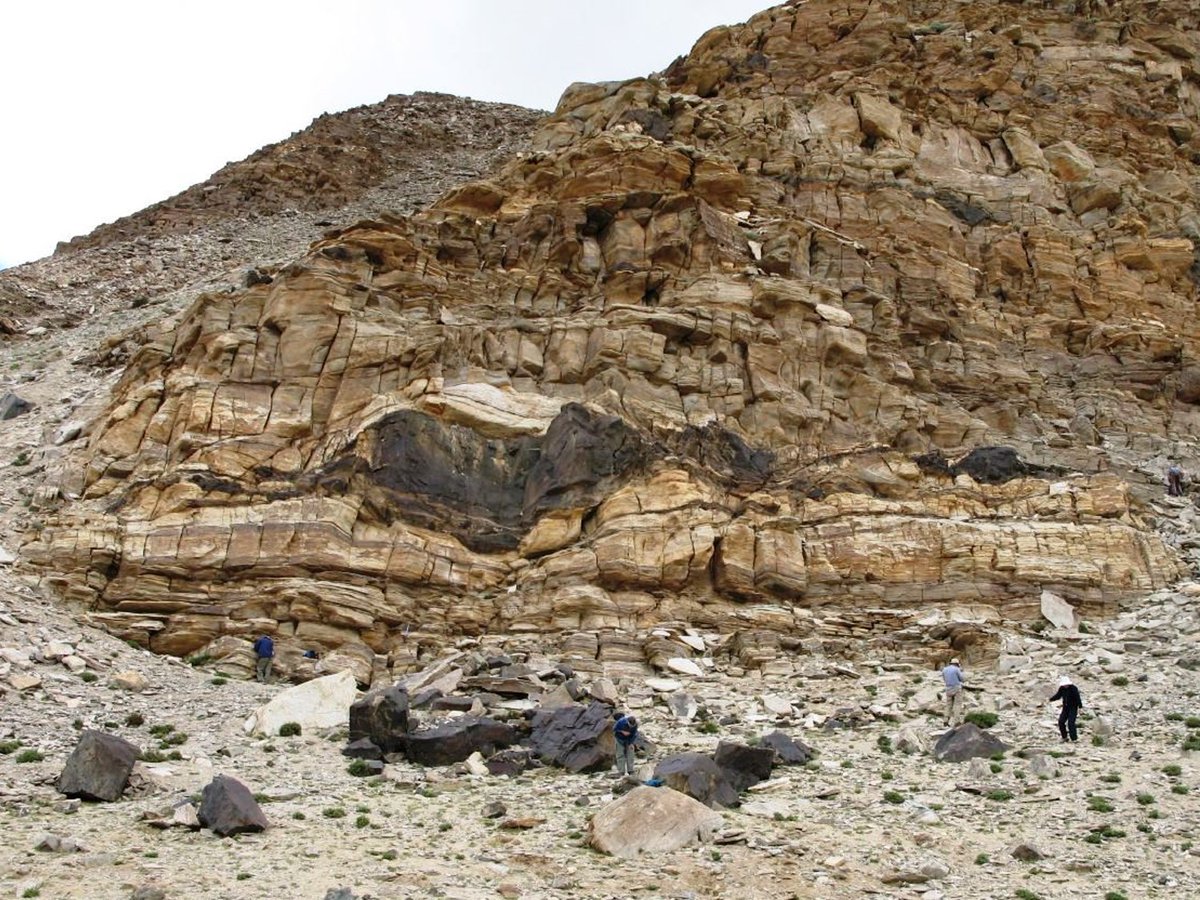 Almost all UHP eclogite in Phanerozoic terranes forms as mafic bodies encased in low-density felsic crust. The felsic crust gives it buoyancy when the terrane is subducted at convergent margins. See Tso Morari, in this picture (2/X)  #metamorphism  #tectonics  #Archean  #eclogite