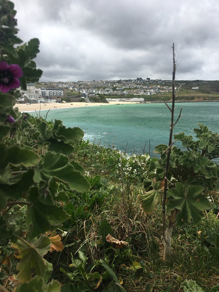HarmHope4's tweet photo. It is Mental Health Awareness Week and the theme is 'Connect with Nature' - getting outside is majorly beneficial to our mental wellbeing.  We live in such a beautiful area!  Here’s a pic from my walk this weekend - it would be amazing to see some of your nature pics this week :) https://t.co/trddxvM4JW