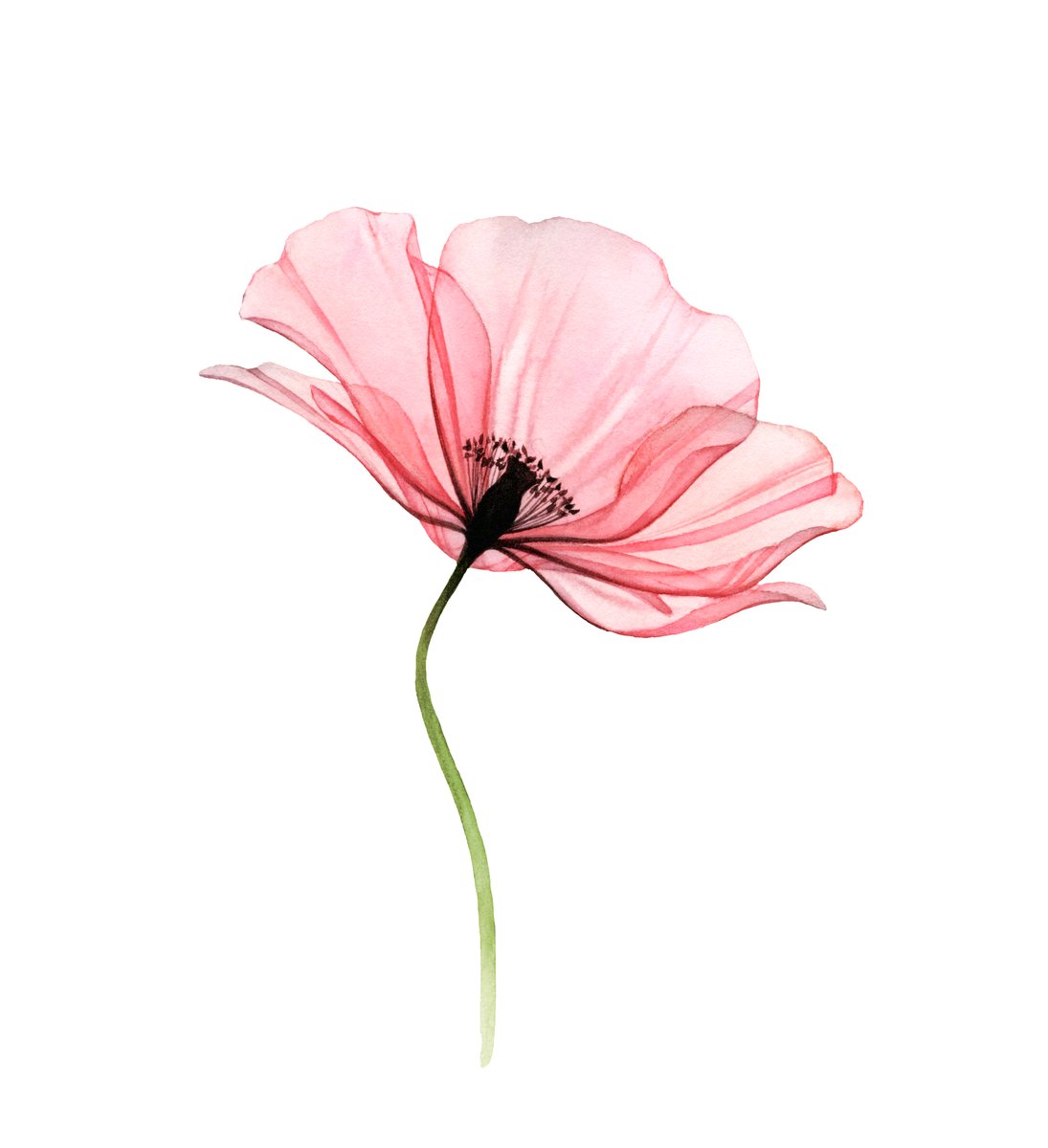 JubileeSeattle's tweet photo. This week we honor the maternal bonds, in all their varied forms, that inspire us and teach us. 

Join us, as our storytellers unravel three generations of strength and compassion. Visit https://t.co/GZz1id6DPd to read about the lives of these extraordinary women. 

#empowerwomen https://t.co/wq4e6igD4V