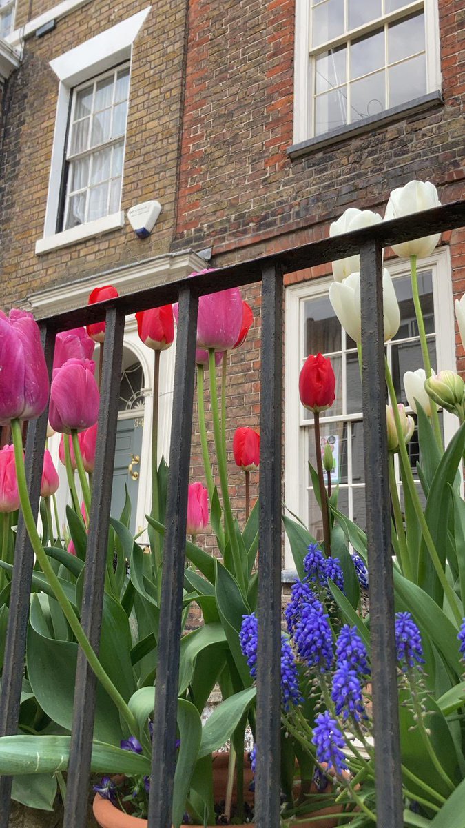 KentWindowClean's tweet image. Are you house proud...? ✨

Let us keep your windows clean with our reliable service ✨✨

Today we are cleaning in #Ramsgate #Broadstairs and #Canterbury 

windowcleanercanterbury.co.uk/residential-wi…