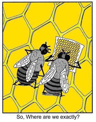 Kattenkopjes's tweet photo. Quantum computing: what does it mean for us worker bees in our von Neumann-architected hives? ;)
https://t.co/qYsh16vhEQ
#QuantumComputing #QC #QCWAre #GoldmanSachs #prediction #forecast #startup #VC #seed #capital #finance #financial #markets #fintech #investment https://t.co/W5aGWZG6lv