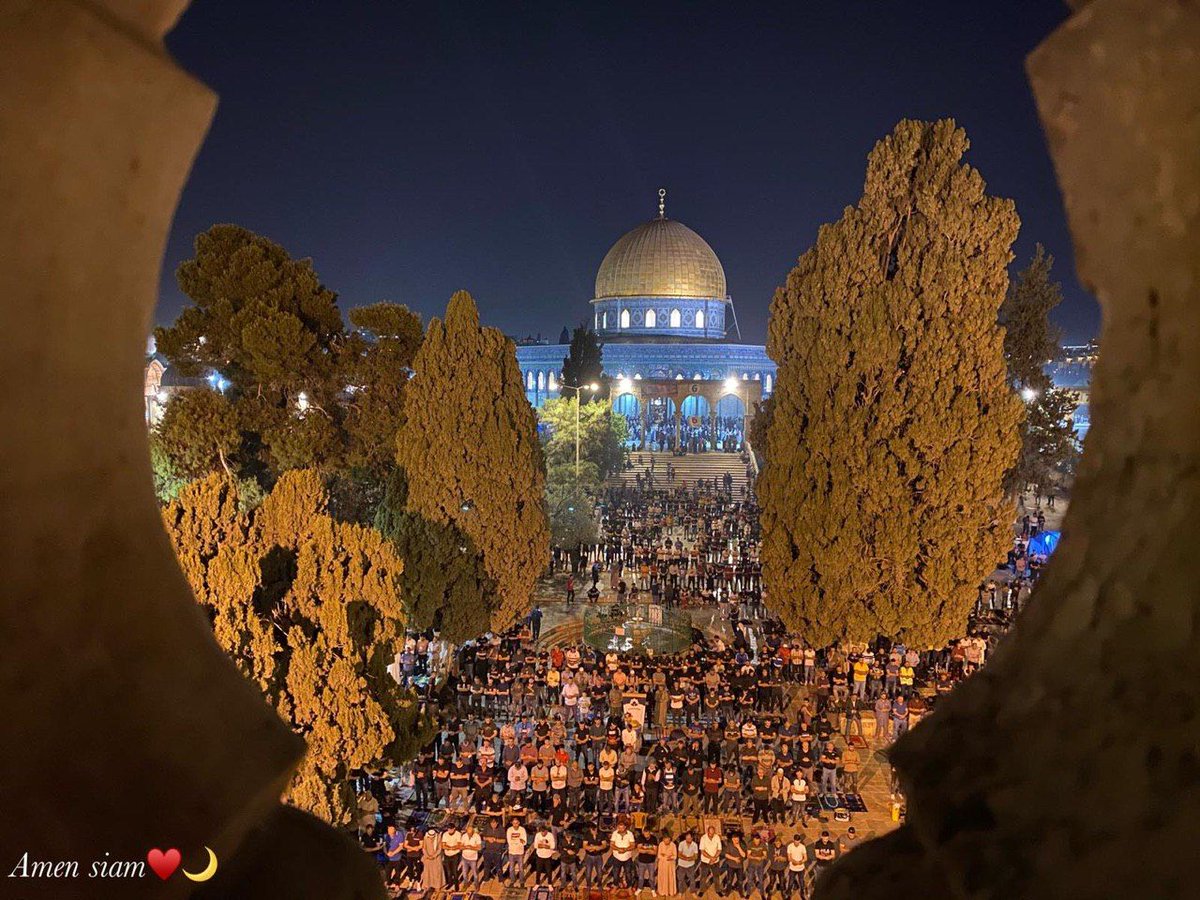 اللهم انصر إخواننا الفلسطينيين.