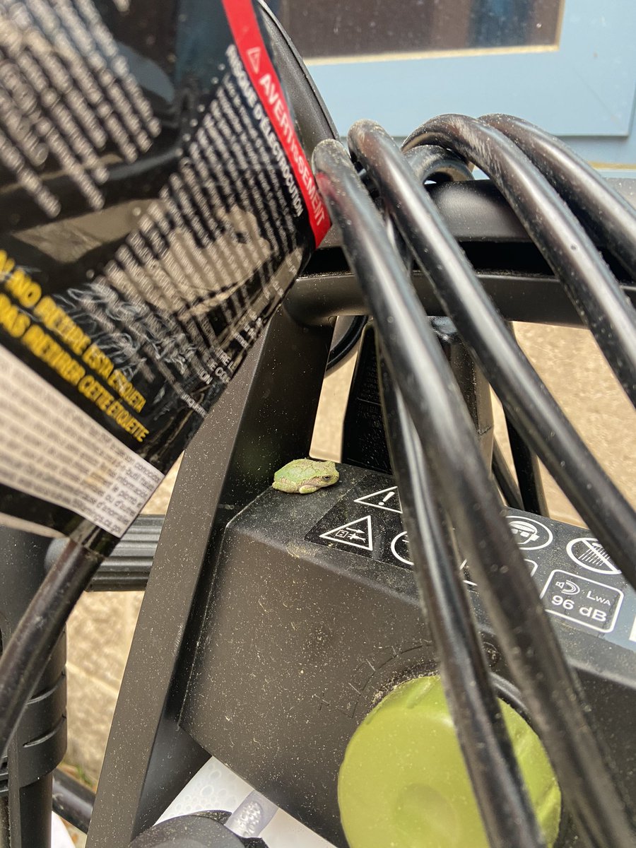 Spartans_SMS's tweet photo. Happy Monday! While prepping our outdoor classroom, we ran into this little guy this morning! Our tiniest Spartan! https://t.co/ZtQ9kF6fyb