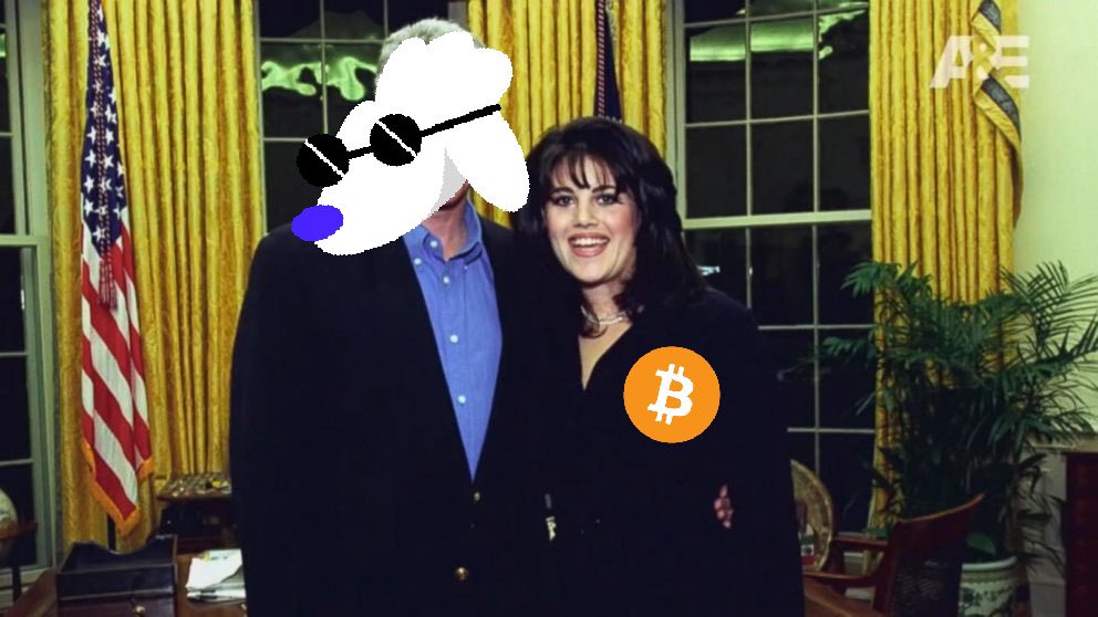PoodlChad's tweet photo. @CryptoBethany Yeah I’m betting #PoodlParty is gonna flip #btc maximalism before a #doge can bark a word https://t.co/wydzkfIetE