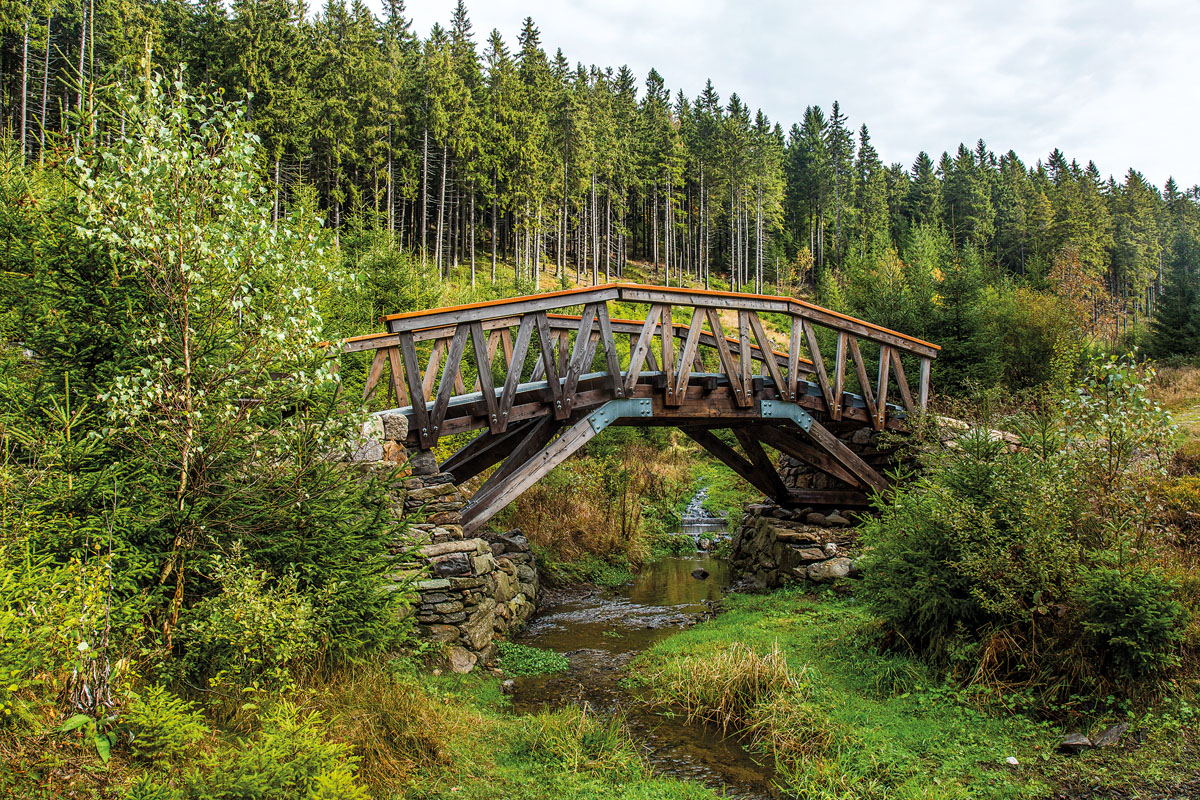 KRNAP1's tweet image. O nových lávkách (celkem je jich 5) na krkonošských stezkách z dílny studentů Fakulty architektury ČVUT si můžete přečist v květnovém čísle našeho #casopisKrkonoseJizerskeHory
Foto Kamila Antošová
#stezkyKrkonos