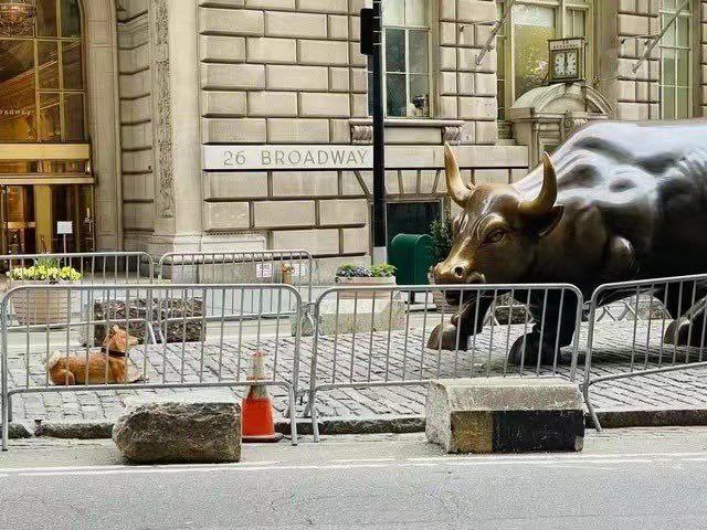 Morpheus8888's tweet photo. What an altcoins season that I cannot comprehend 🤣 https://t.co/WkftQI6pjs
