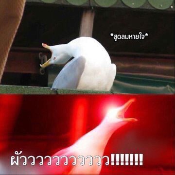 𝗦𝗡♡¹²¹⁵ tweet media