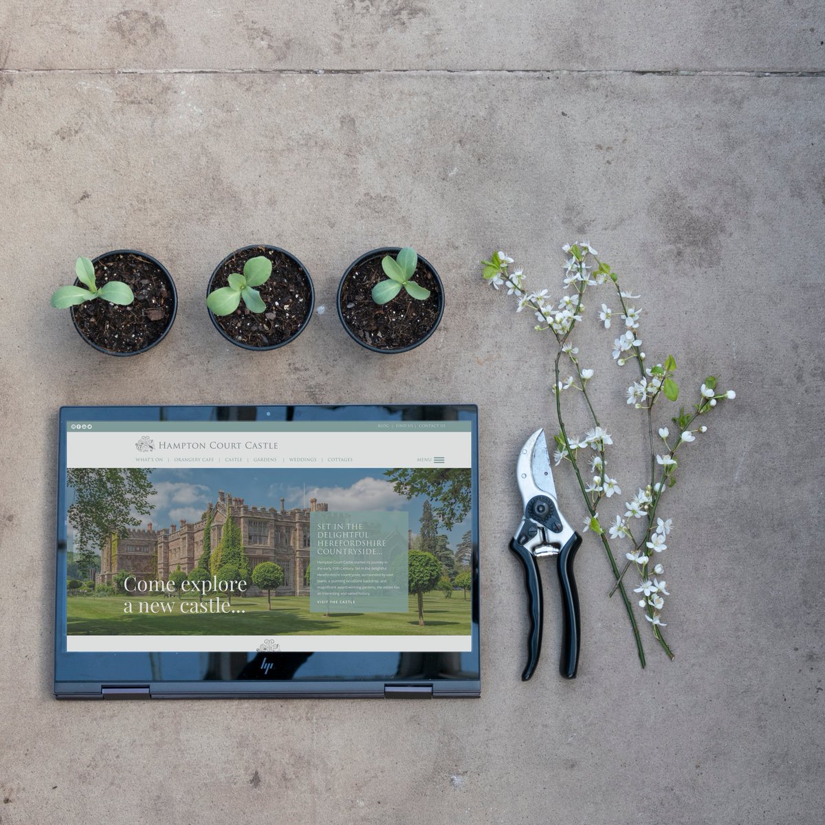 Hampton Court Castle tweet media