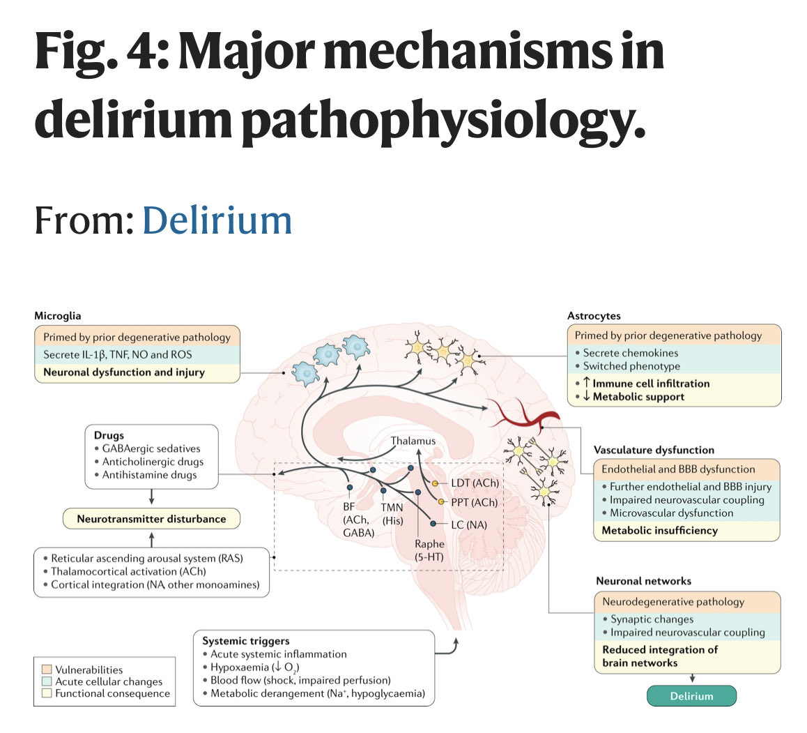 2/ Medically this is  #Delirium acutely and  #Dementia chronically + various forms of neuropsychological impairment coupled with  #depression and  #PTSD. Our paper:  https://go.nature.com/3nU9ZYm 
