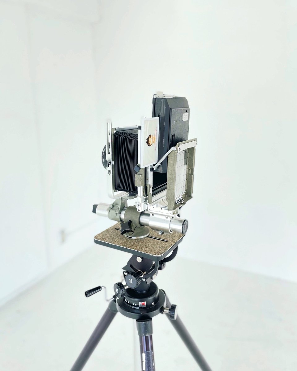 umezawawa's tweet photo. ◯大判カメラでポラロイド撮影を楽しめる〜　ロモグラフロック プレオーダー中！

Taken with a large camera, Polaroid Lomograflok.She looks more mature!

＃グ���フロック #百田夏菜子 #ももクロ #ロモグラフィー #大判カメラ #インスタックスワイド #graflok #lomography #filmisnotdead https://t.co/WucgPdY03U