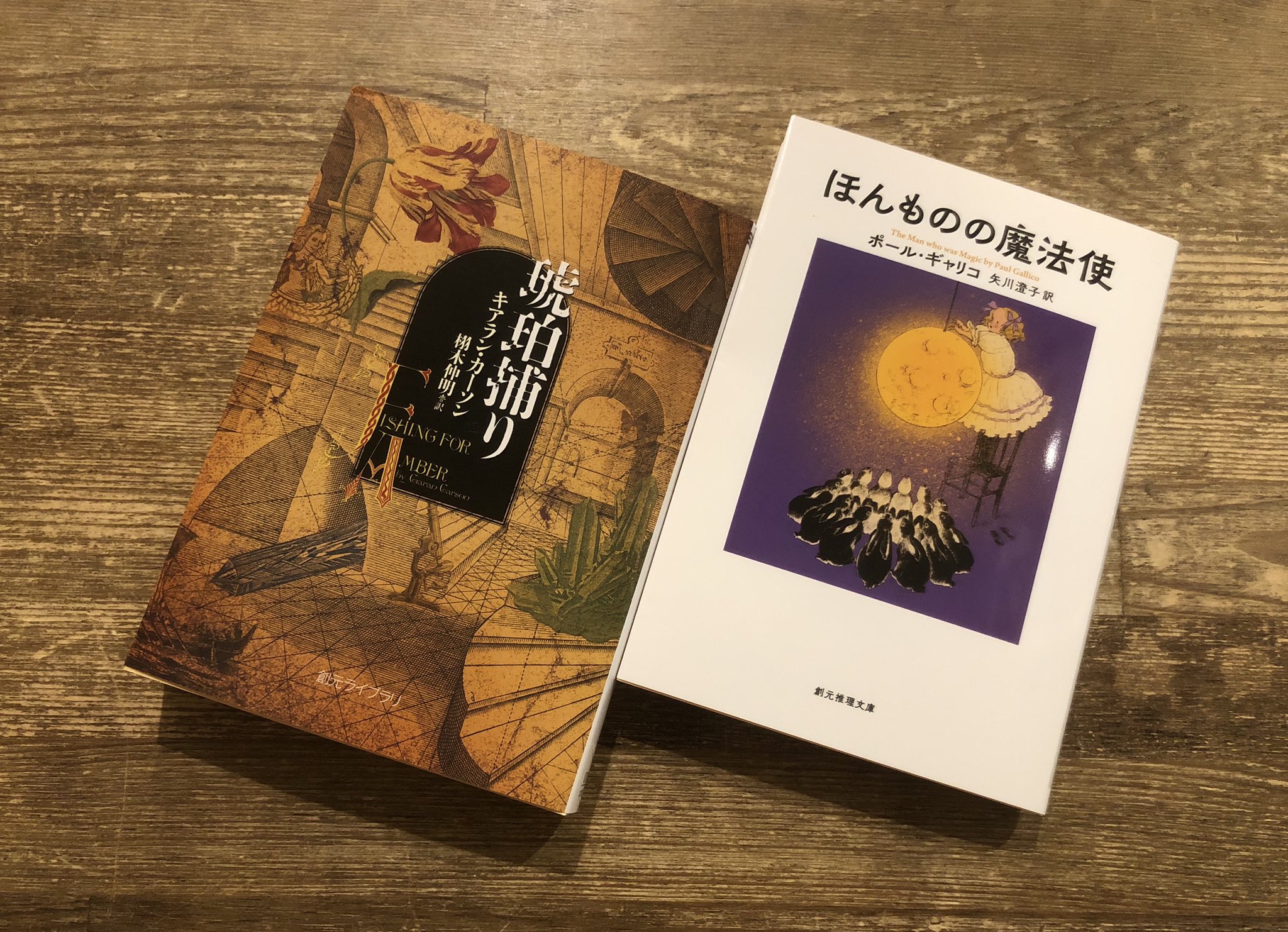 神楽坂 かもめブックス 書籍 創元推理文庫と創元ライブラリの新刊が入荷 キアラン カーソン 栩木伸明 訳 琥珀捕り ポール ギャリコ 矢川澄子 訳 ほんものの魔法使 Aからzまで それぞれを頭文字に配した２６の単語が目次に並ぶ