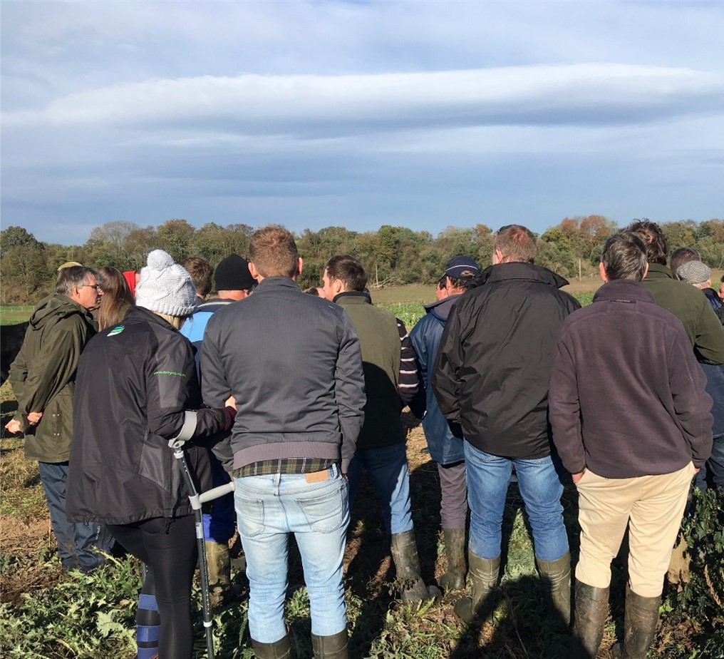 FarmDiscussion tweet picture
