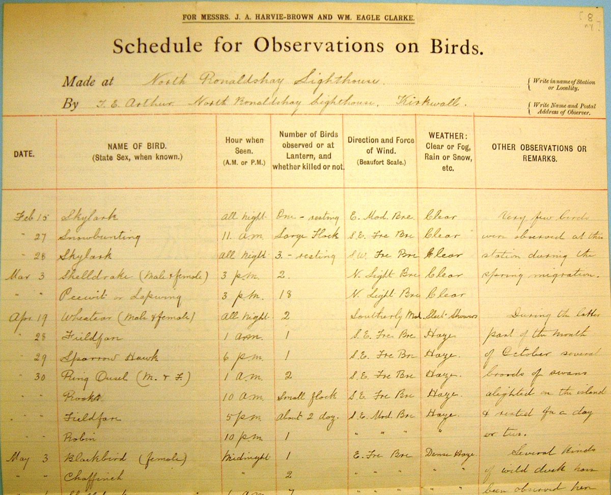At this time he was Secretary to the British Association’s Migration Committee. Bird sightings were collated from schedules, supplied from lighthouse keepers around the coast.Clarke recorded data & collected specimens on many field-trips, mainly on lightships & lighthouses.