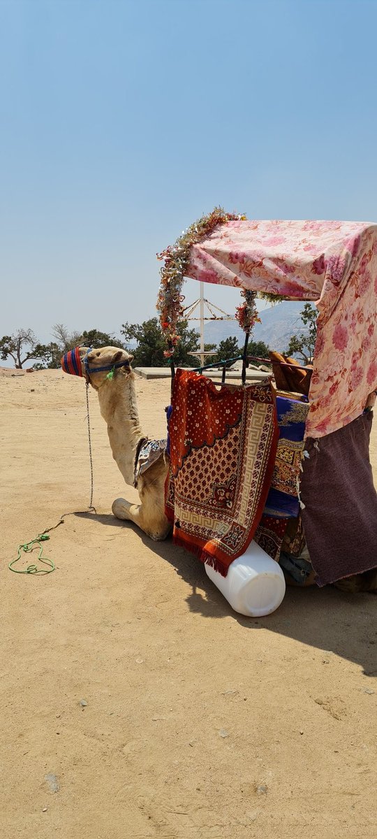 ludovic_pouille's tweet photo. Ravi de découvrir avec @CGF_Djeddah les trésors historiques et naturels de la région de #Taef, berceau de la langue arabe au coeur du #Hedjaz et pôle touristique important du royaume, grâce à son climat montagnard clément et à sa rose légendaire!
#FranceKSA 🇸🇦🇫🇷🌹 https://t.co/kq0MmjgbVV