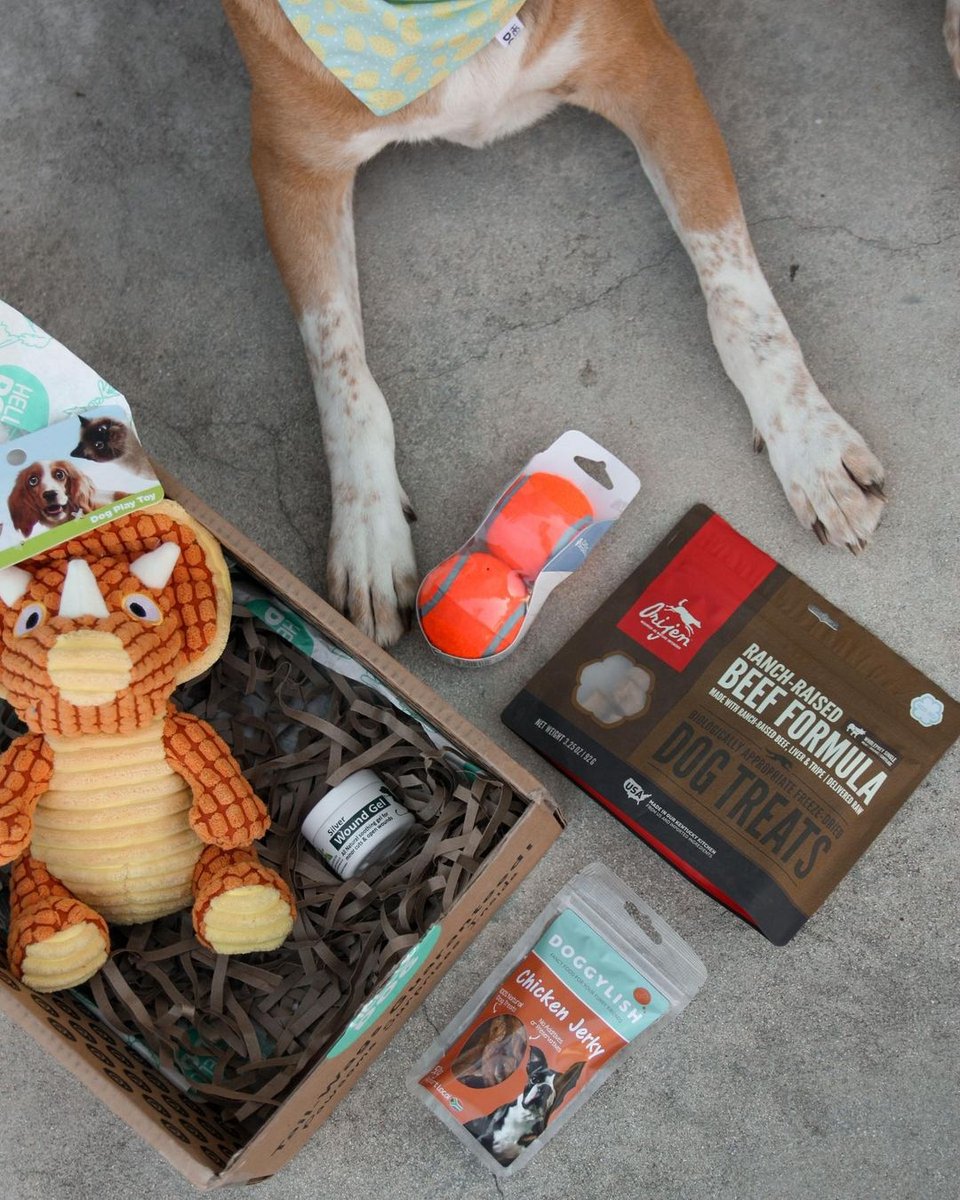 Still wanting to shop goodies from last months Hello Dog Box? Head to petheaven.co.za and shop them all now!

📸 <a href="/nixxmilner/">Nixx Milner</a>