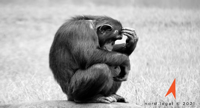 NORD_Legal's tweet image. Mogen we #Mailchimp nog gebruiken? In Beieren mocht het niet. Wat betekent de #rechtspraak voor het werken met #persoonsgegevens met Amerikaanse #cloud providers? Lees het bij @NORD_Legal #privacy

nord.legal/mailchimp-verb…