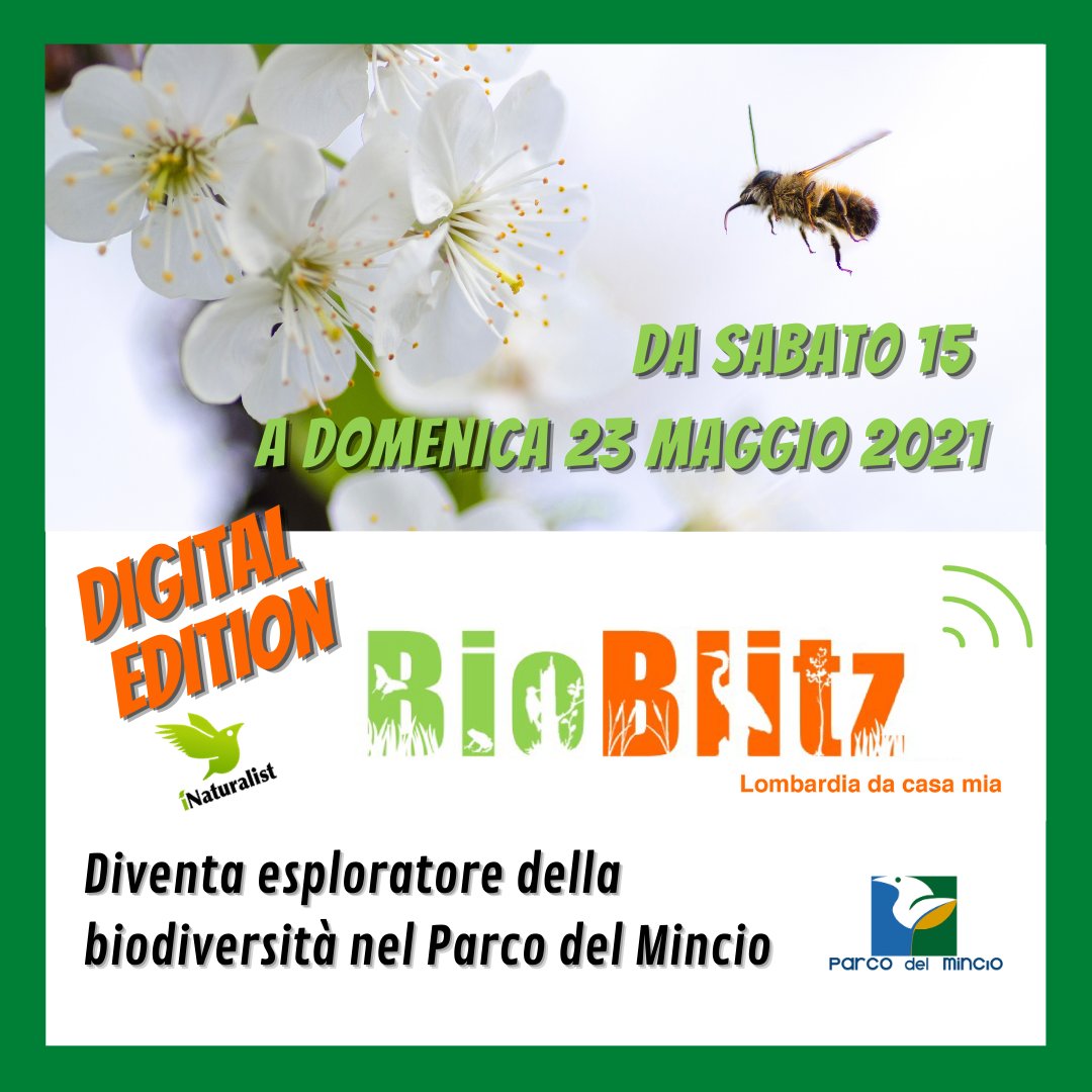 Torna l'edizione digitale di Bioblitz 🤠Dal 15 al 23 maggio, anche nel Parco del Mincio la cittadinanza è invitata a condividere foto e video sulla biodiversità bit.ly/3tyJRmU #bioblitzlombardiadacasamia <a href="/AreaParchi/">AREA Parchi</a>
