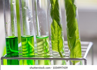 EllaWesley16's tweet photo. #When naproxen breaks down, toads croak #Submit your #Abstract to #conference on #ENVIRONMENT CONGRESS 2021 which is scheduled during #December 09-10, 2021 at #Sydney, Australia https://t.co/9B8OuNojJh