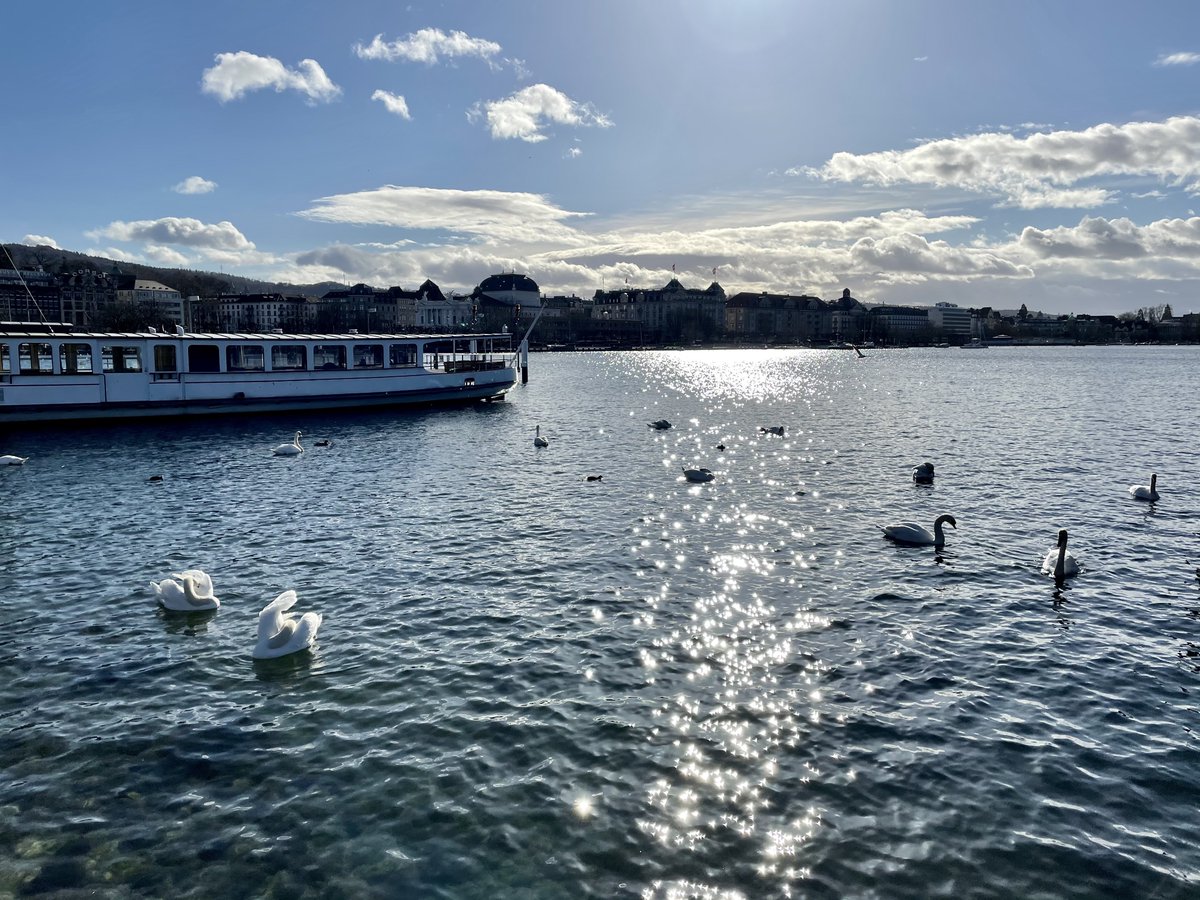 GreekGirlsCode's tweet image. Good morning everyone from sunny #Zurich! My name is Marianna Rapsomaniki and I am super excited to be taking over @GreekGirlsCode for this week!  #computationalbiology, #ibmresearch, #girlsinstem #WomenInSTEM