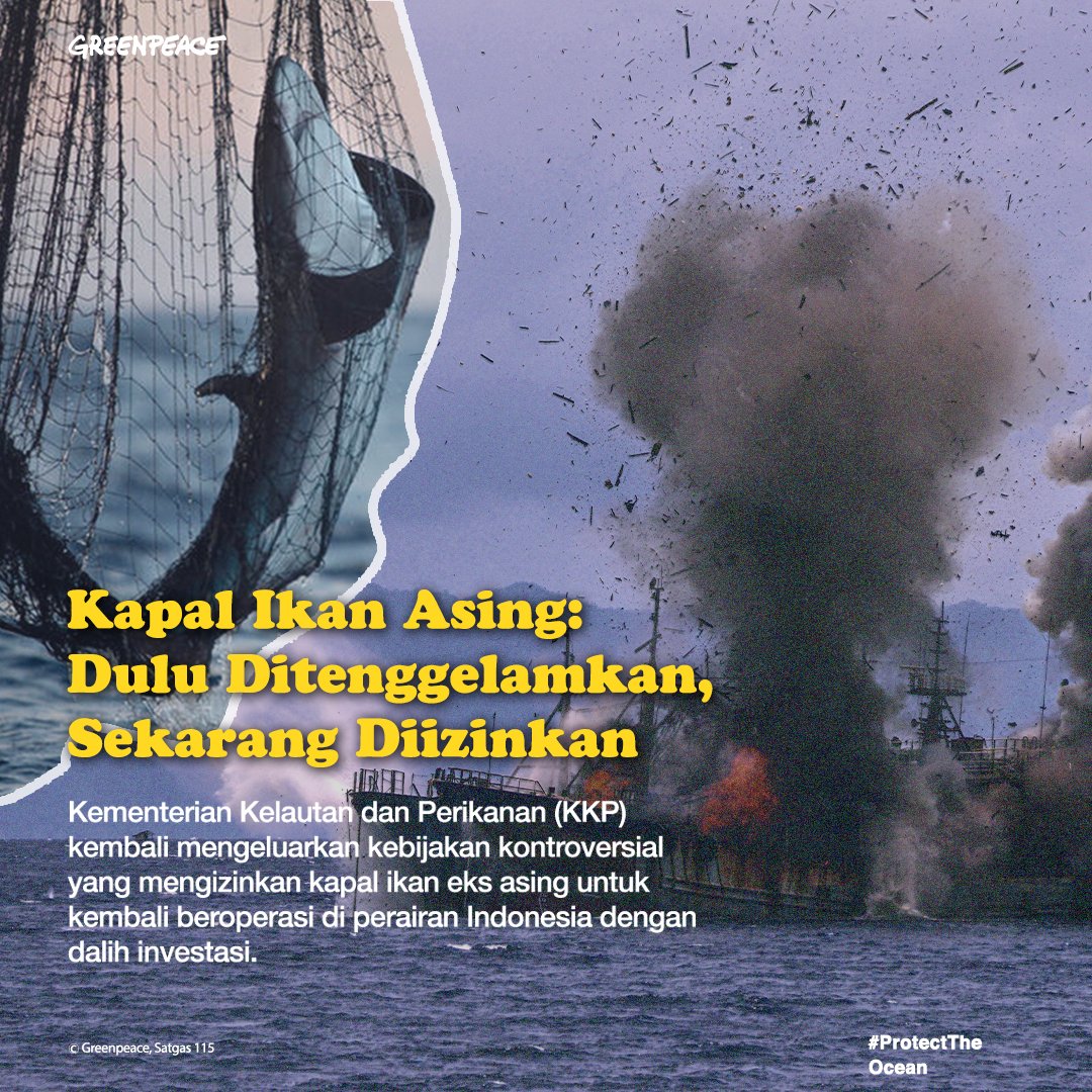 GreenpeaceID's tweet photo. Siapa yang kangen slogan "TENGGELAMKAN"nya Bu @susipudjiastuti ? Sayangnya yang dulu ditenggelamkan, kini diizinkan kembali. @kkpgoid kembali mengizinkan kapal ikan eks asing untuk kembali beroperasi di perairan Indonesia dengan dalih investasi. #ProtectTheOcean https://t.co/9QP5qjnEqB