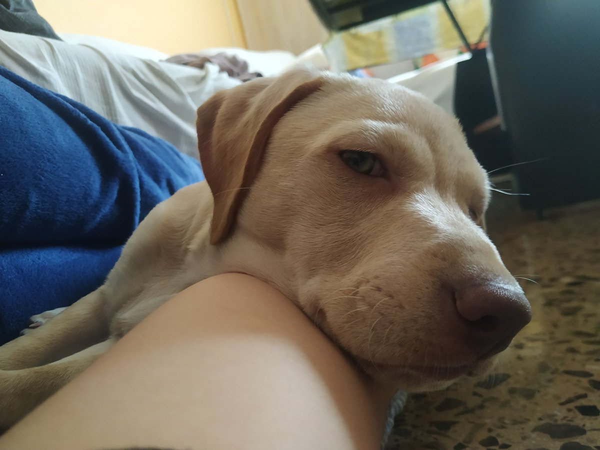 Uwetsiageutsa's tweet photo. Que voleu que us digui, a mi em te el cor robat 💞 https://t.co/SYzDLshdyy